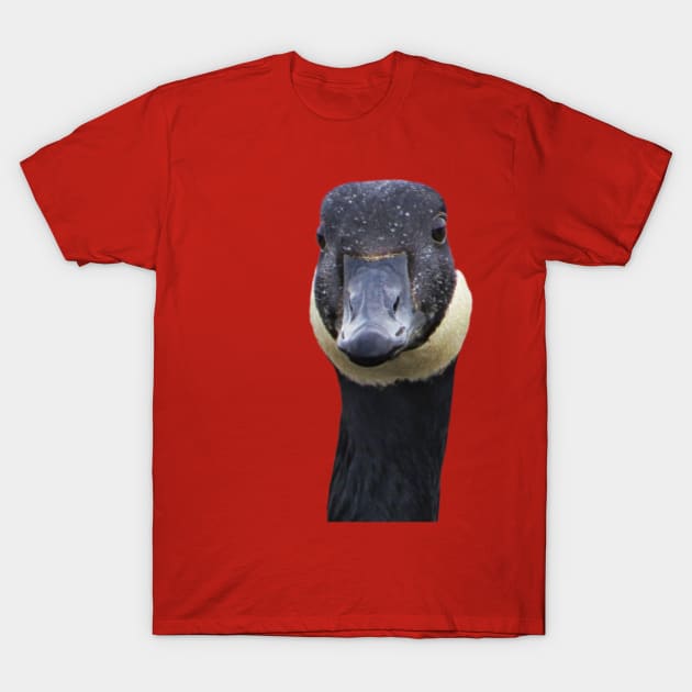 Canadian Goose Funny Portrait T-Shirt by KathyG'sArt